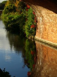 Scenic view of lake