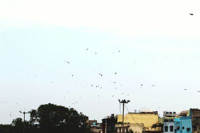 Low angle view of silhouette birds flying against sky