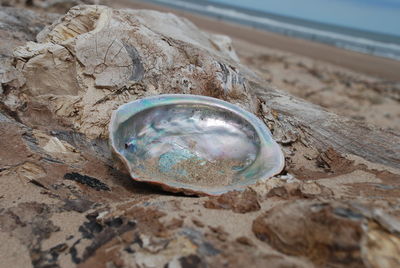 Close-up of water in sand