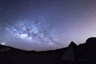 Silhouette trees on desert against sky at night