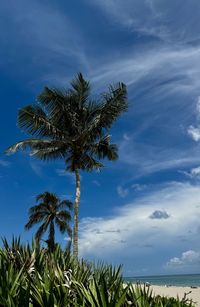sky