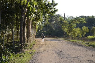 Rear view of man walking on road amidst trees