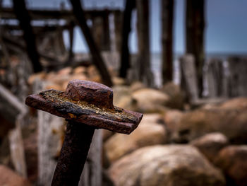 Close-up of rusty metal fence