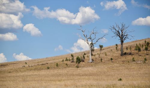 Scenic view of field against cloudy sky