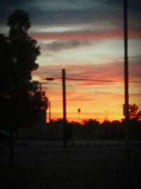 Silhouette of trees at sunset