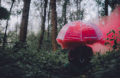 Man with umbrella and red smoke sitting in forest