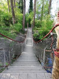 Footbridge amidst trees in forest