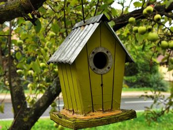 Close-up of birdhouse on tree against building