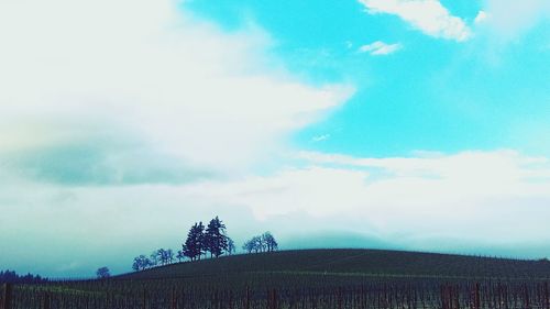 Low angle view of trees on field against cloudy sky