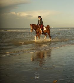 Horses riding horse in sea