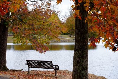 Bench by lake in park during autumn