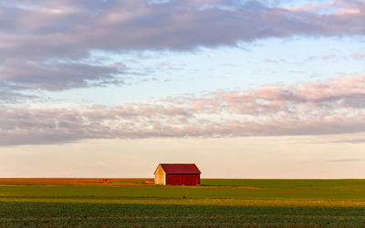 Scenic view of agricultural field against sky during sunset