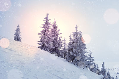 Snow covered mountain against sky