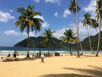 Palm trees on beach against sky