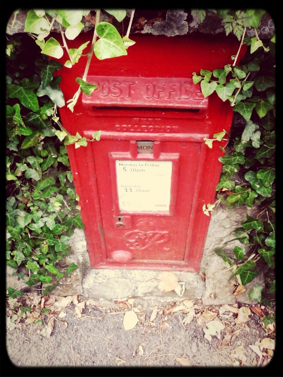 transfer print, red, plant, auto post production filter, leaf, door, growth, wood - material, closed, old, built structure, house, day, outdoors, entrance, wall - building feature, abandoned, no people, front or back yard, ivy