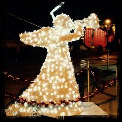 Jellyfish swimming in water