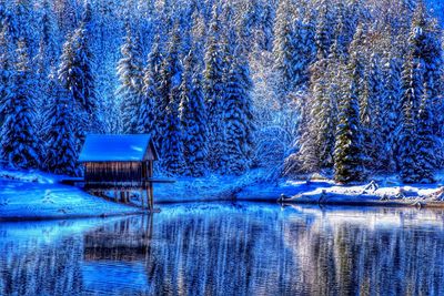 Scenic view of lake in forest during winter