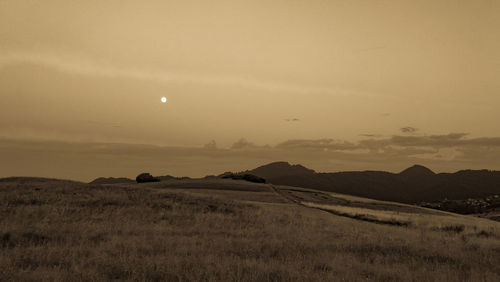 Scenic view of field against sky during sunset