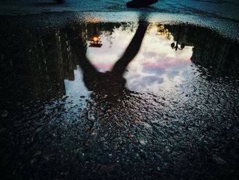 Reflection of trees in puddle