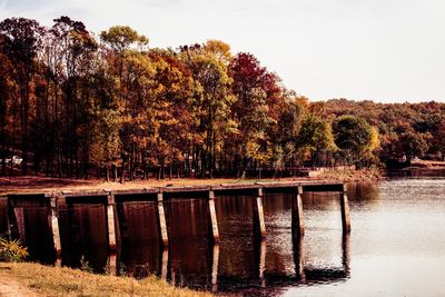 Scenic view of lake in forest against clear sky
