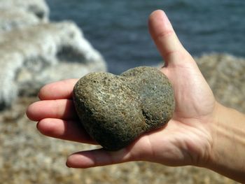 Close-up of cropped hand holding seashell