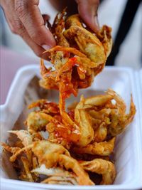 Close-up of person preparing food in plate