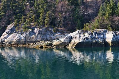 Scenic view of lake by trees