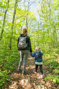 Rear view of women in forest