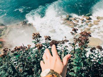 Cropped hand of man reaching plants against sea