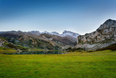 Scenic view of field against clear sky