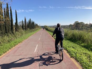 Rear view of man riding bicycle on road