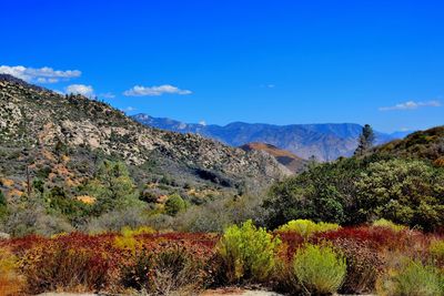 Scenic view of rocky mountains