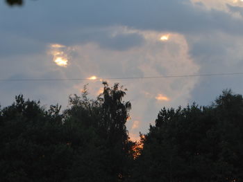 Trees against sky during sunset