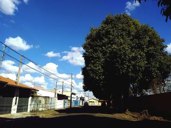 Street amidst trees against blue sky