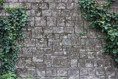 View of stone wall