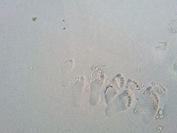 High angle view of footprint on sand at beach