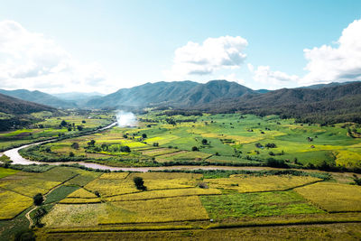 Scenic view of agricultural field against sky