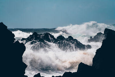 Waves with surf on azores coast.
the azores are an island that belongs to portugal