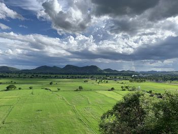 Scenic view of agricultural field against sky