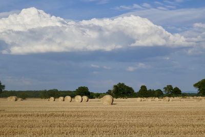 Scenic view of field against sky