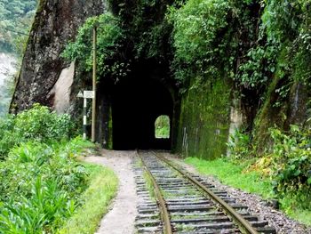 Walkway leading to tunnel