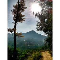 Scenic view of mountains