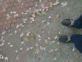 Low section of person standing on ground