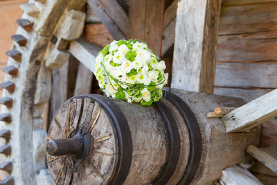 Close-up of food on wood