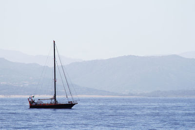 Sailboat sailing on sea against sky