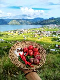 Fruits in basket on field by mountain against sky