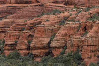 View looking up boynton canyon from subway cave in sedona arizona.