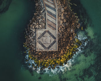 High angle view of plants by river