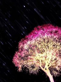 Firework display at night