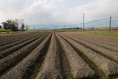 agriculture